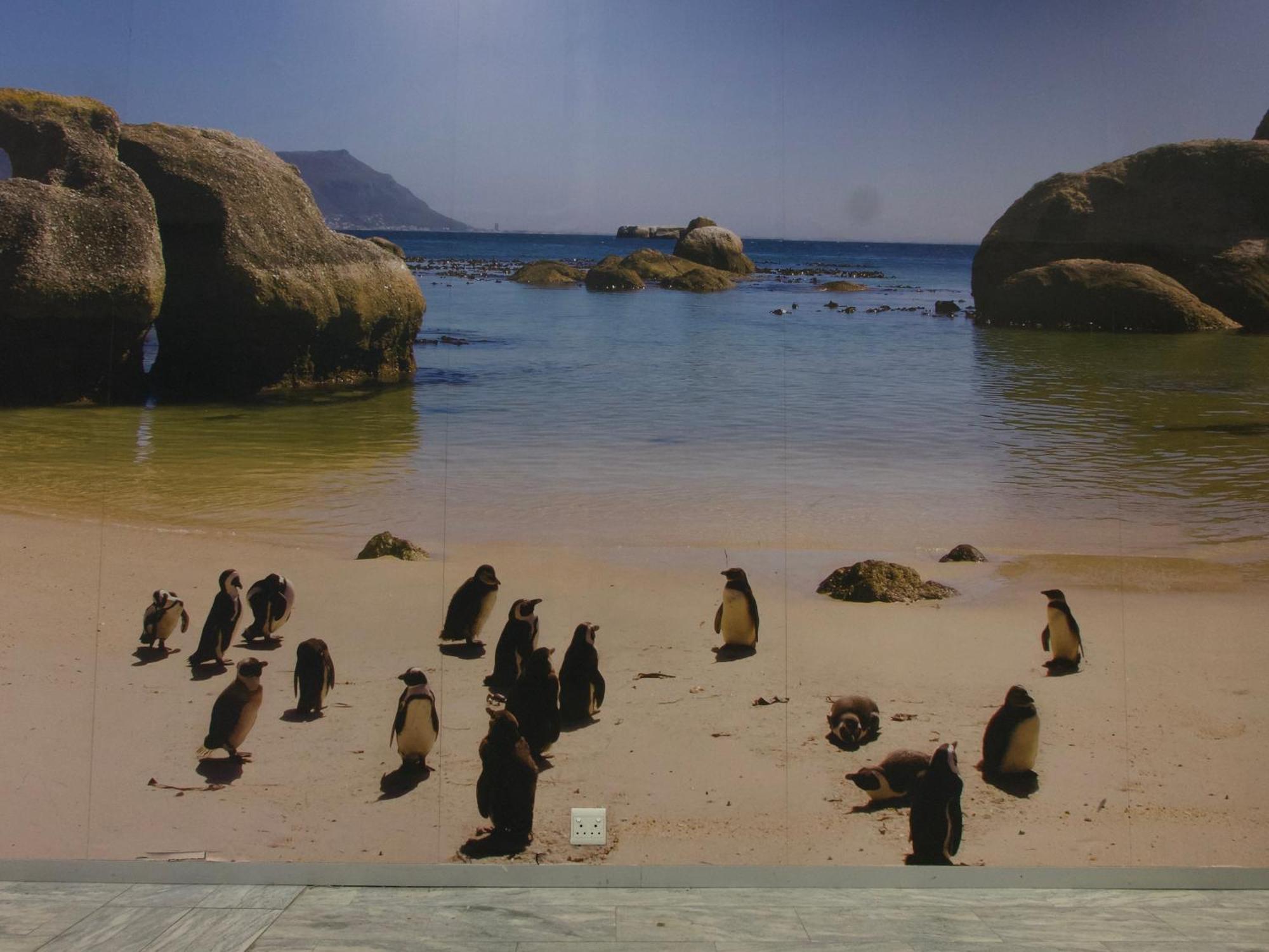 Heylon Sea Point Luxury Spacious One Bedroom Queen Size Bed & Inverter Apartment Cape Town